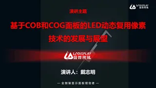基于COB和COG面板的LED动态复用像素技术的发展与展望-蓝普视讯